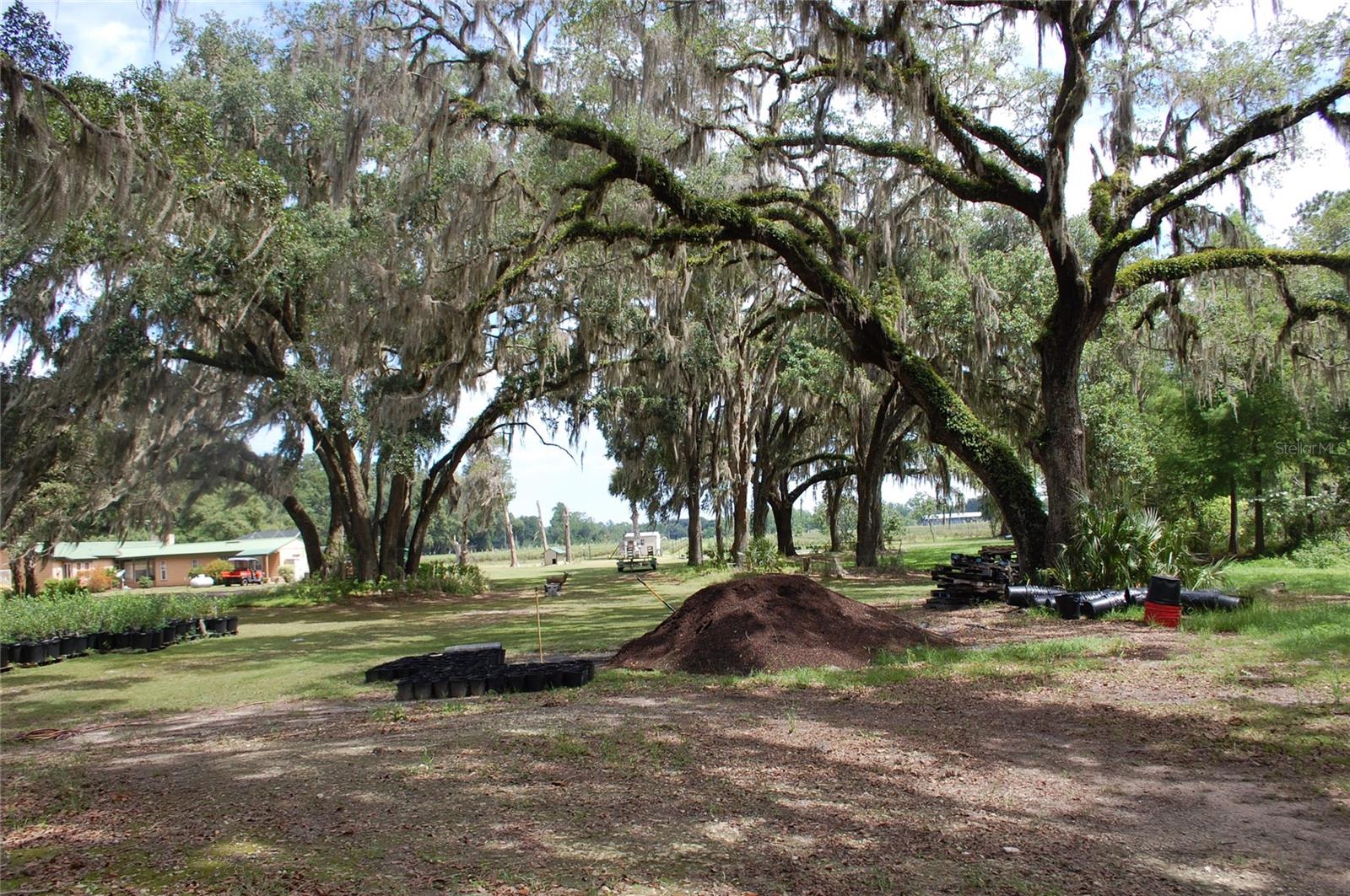 LOCHLOSSA FARMS - Residential