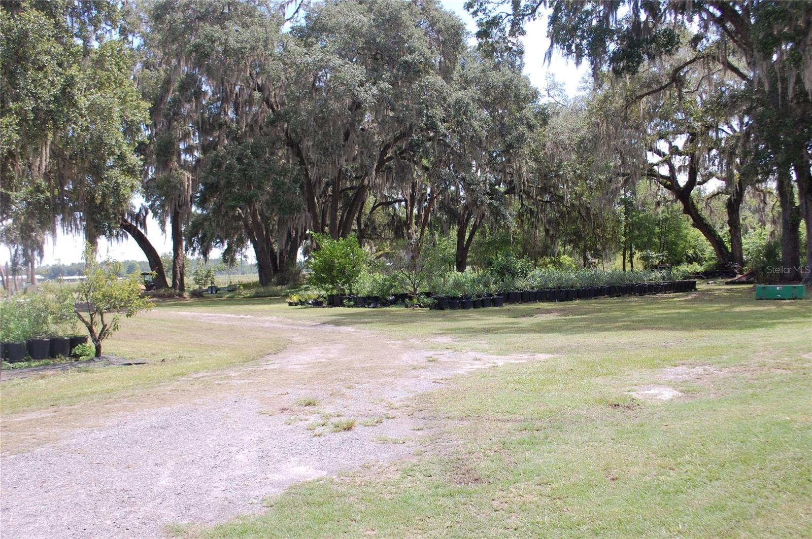 LOCHLOSSA FARMS - Residential