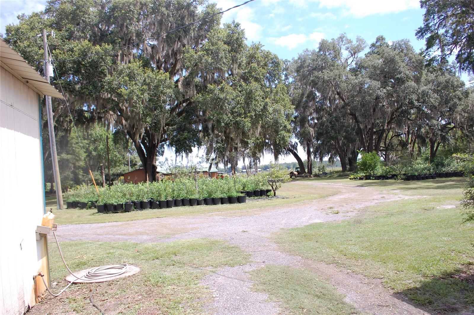 LOCHLOSSA FARMS - Residential