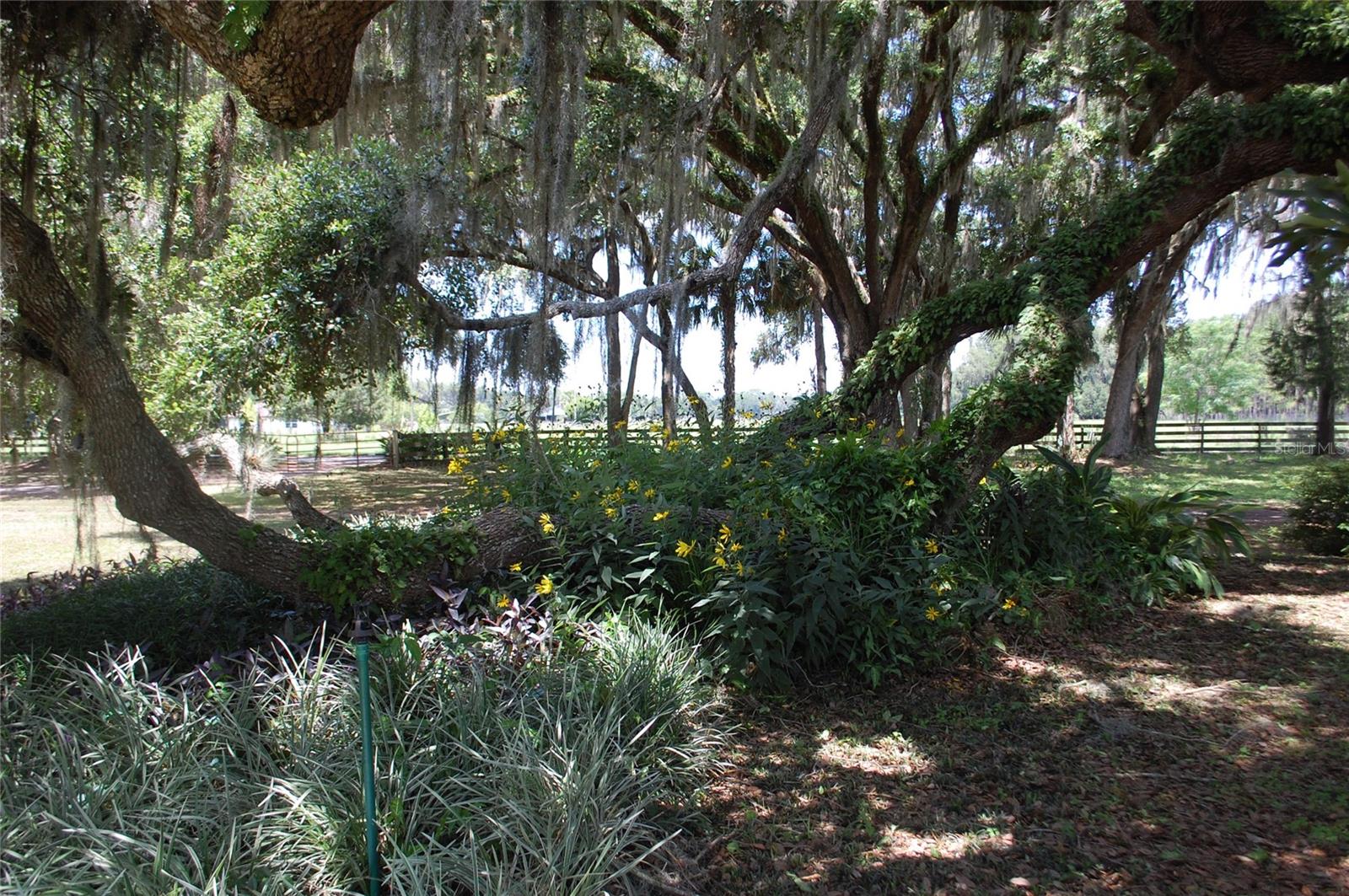 LOCHLOSSA FARMS - Residential