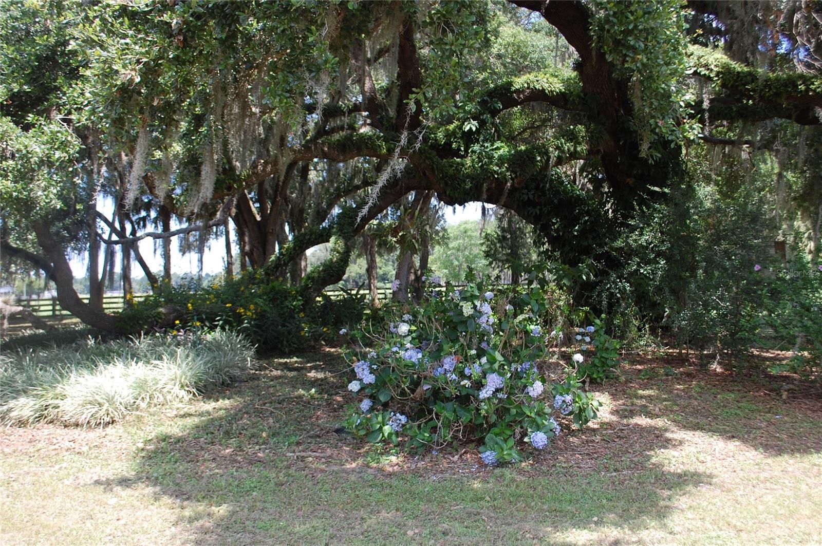 LOCHLOSSA FARMS - Residential