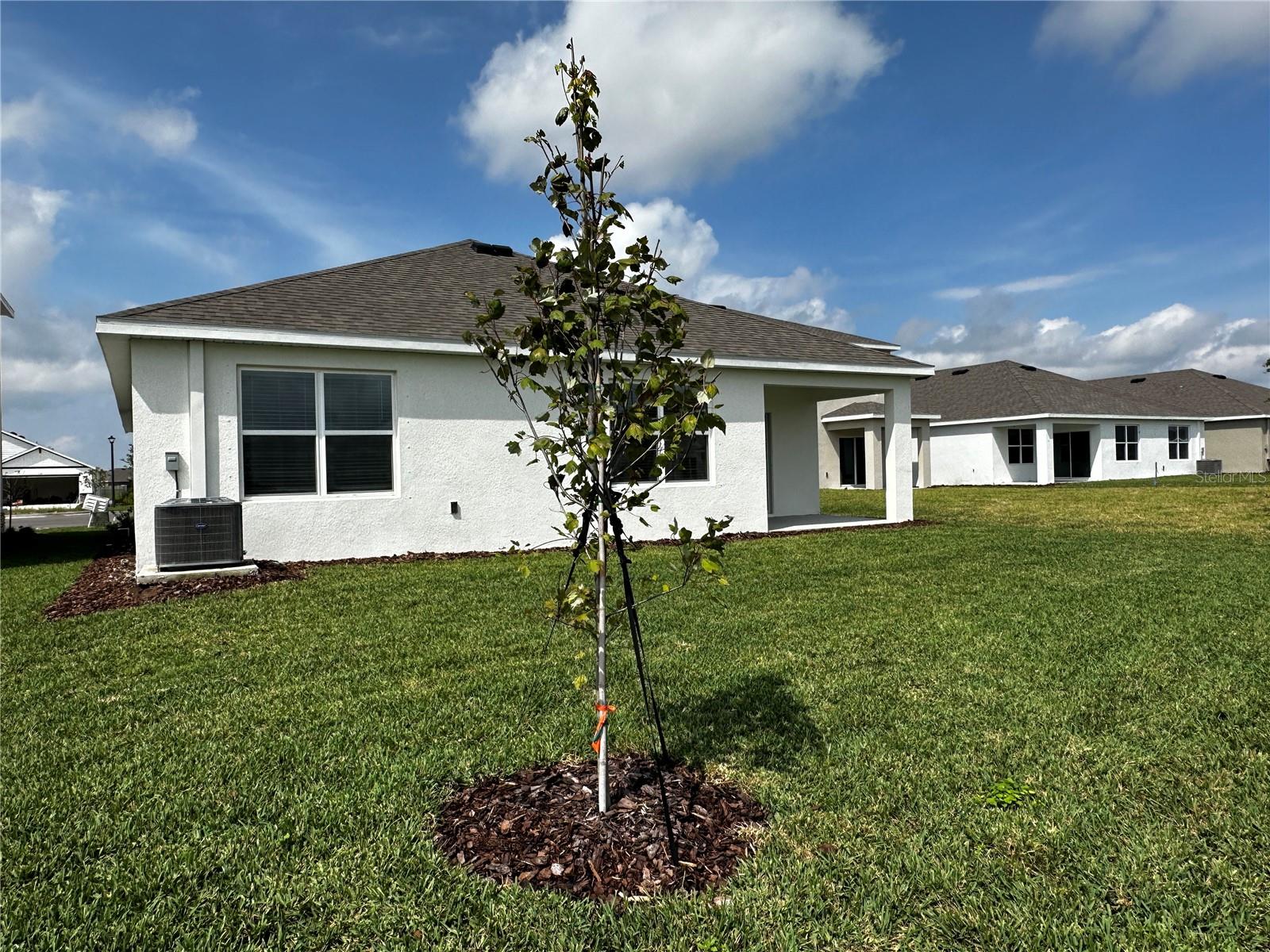 LWD RANCH SOLERA PH 1A & 1B --- PRELIM (4625) - Residential Lease