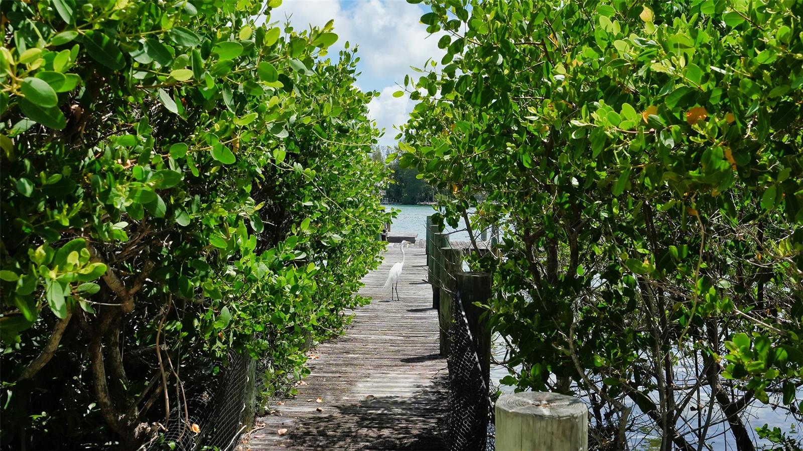LONGBEACH ON LONGBOAT KEY - Residential