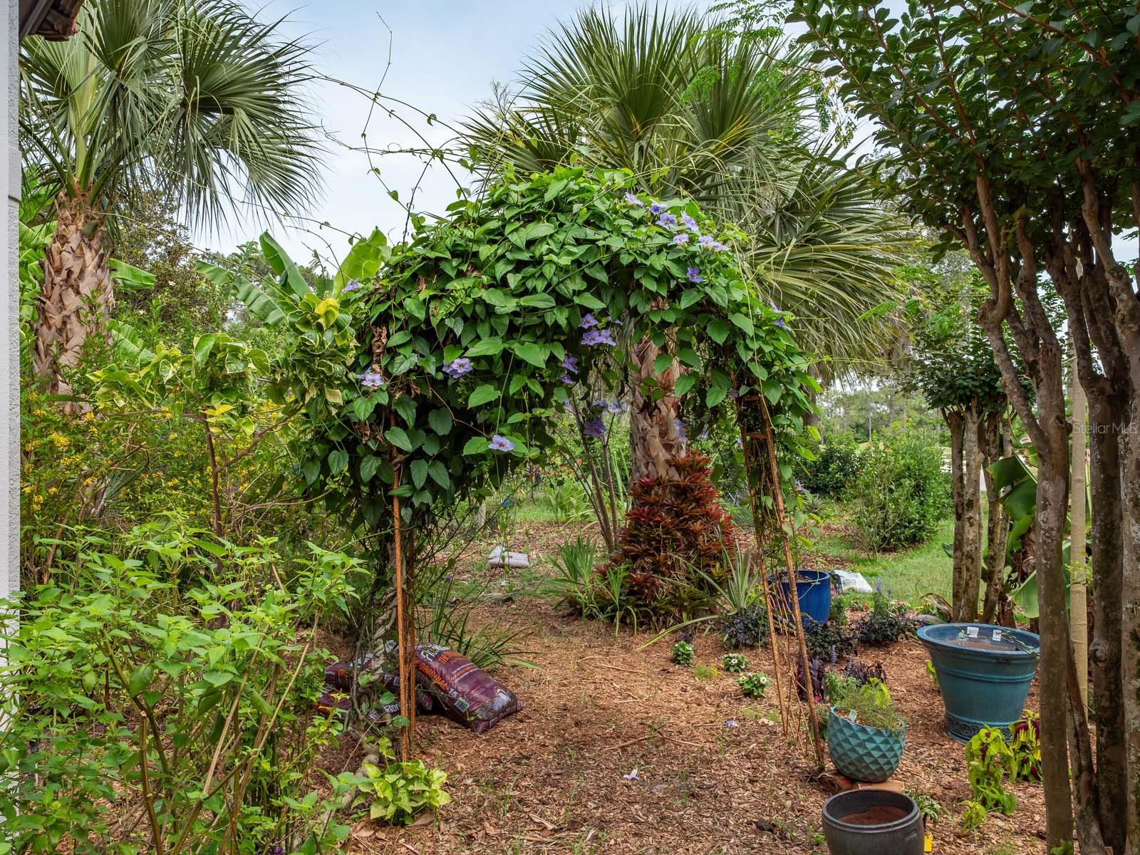 LAKE NONA ESTATES - Residential Lease