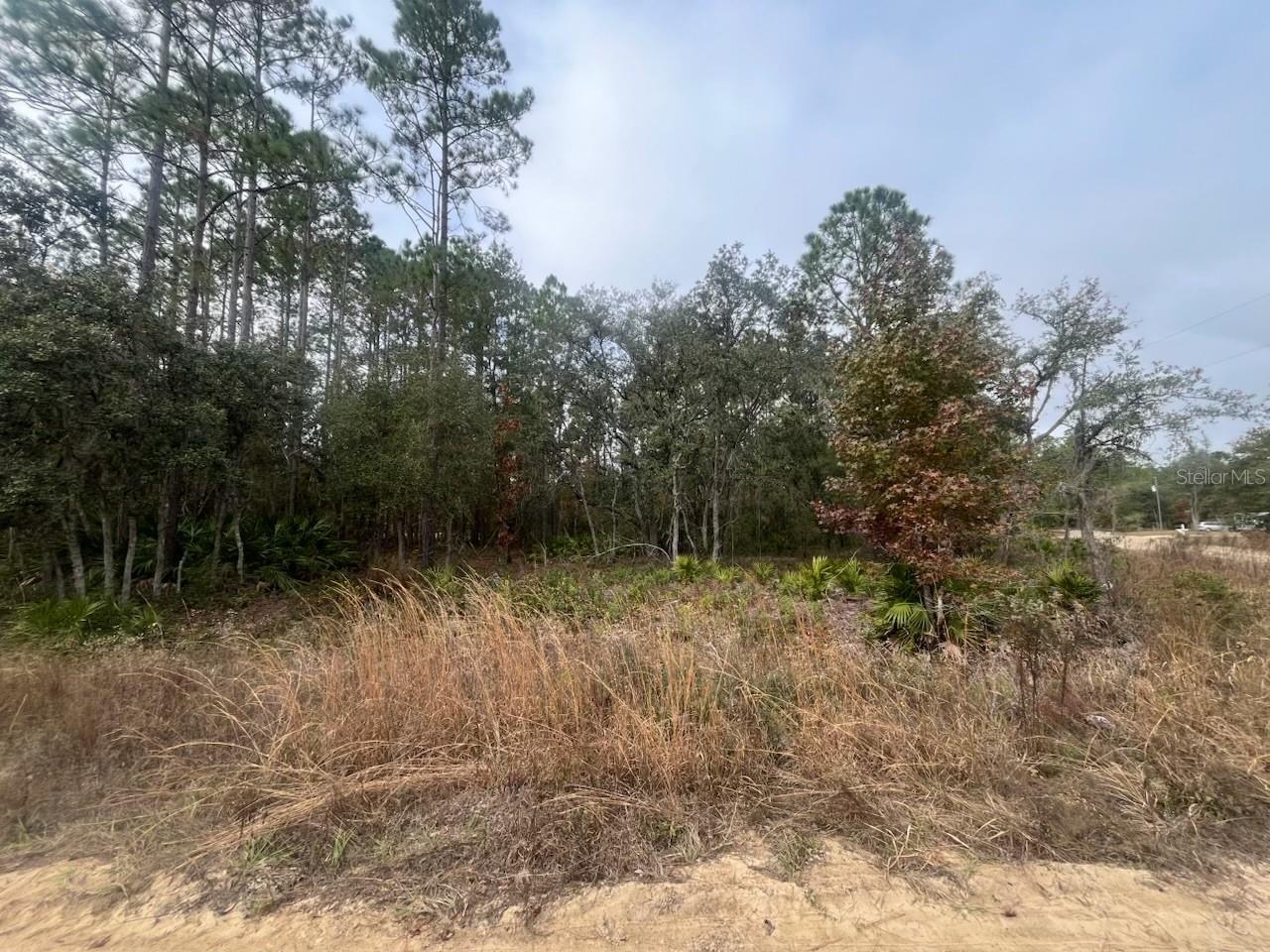 INTERLACHEN LAKES ESTATES - Land