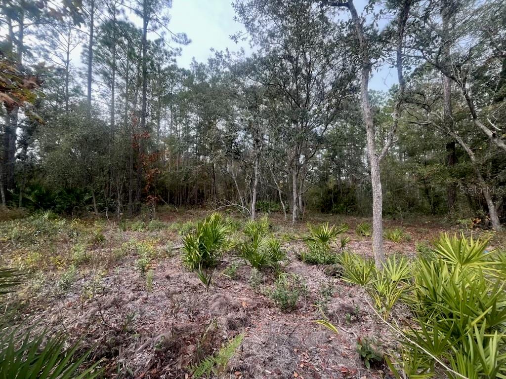 INTERLACHEN LAKES ESTATES - Land