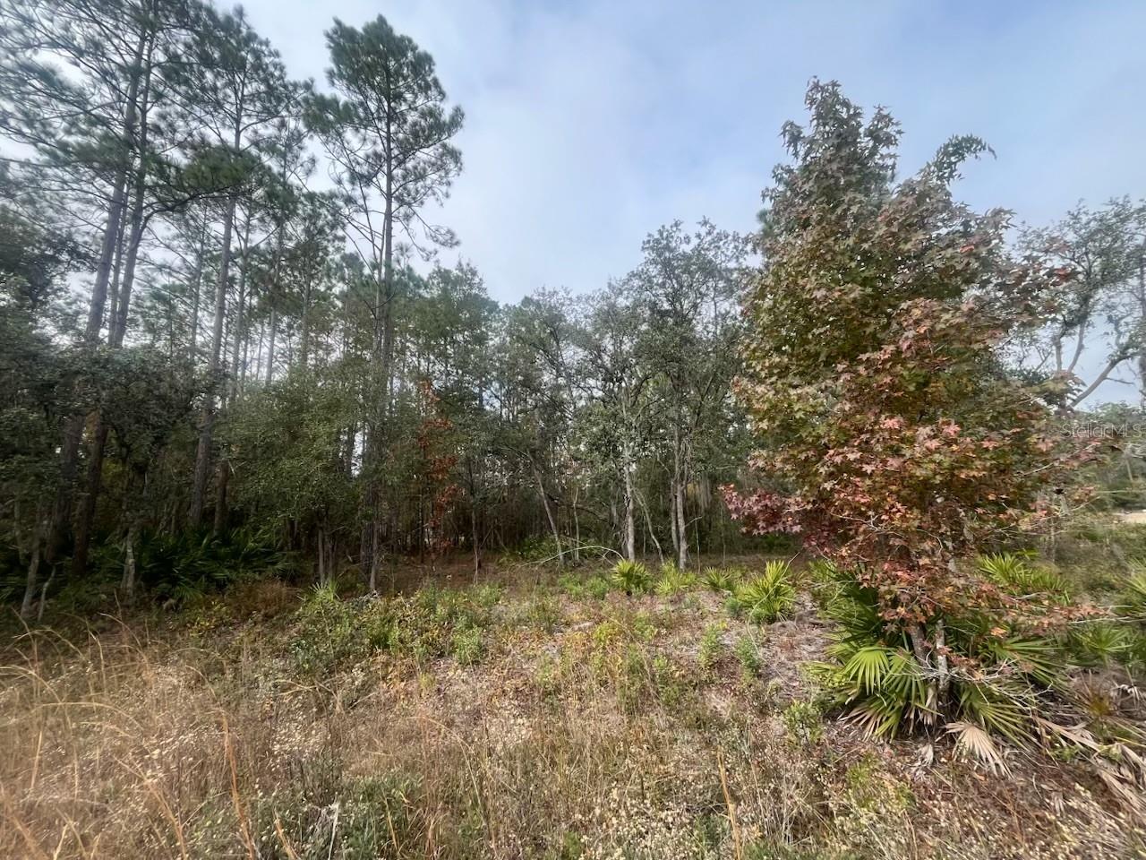 INTERLACHEN LAKES ESTATES - Land