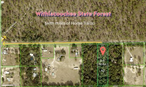 0 WILDLIFE LANE BROOKSVILLE FL 34602