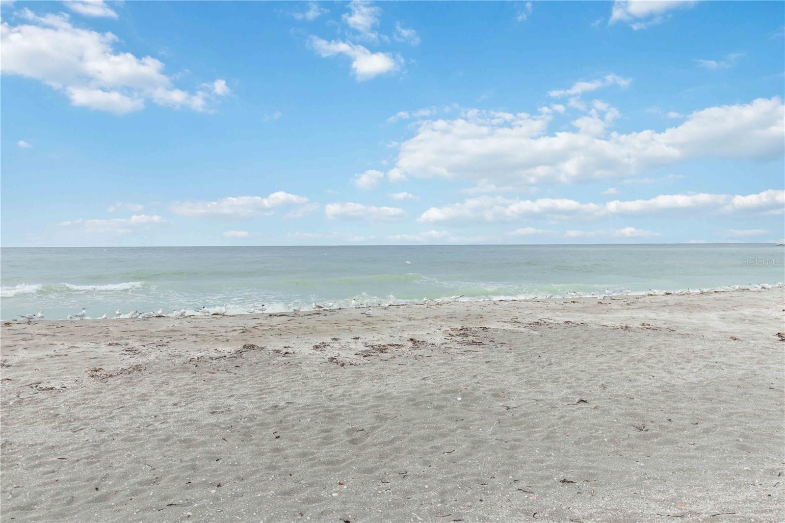 GULF N BAY - Residential