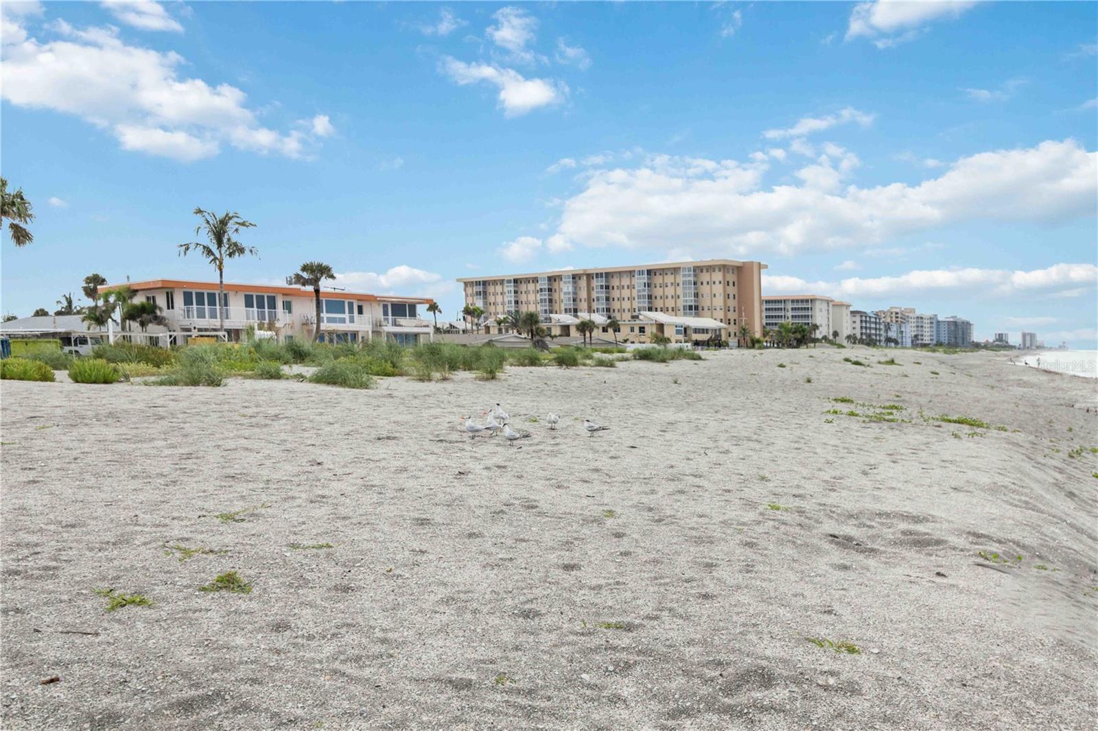 GULF N BAY - Residential