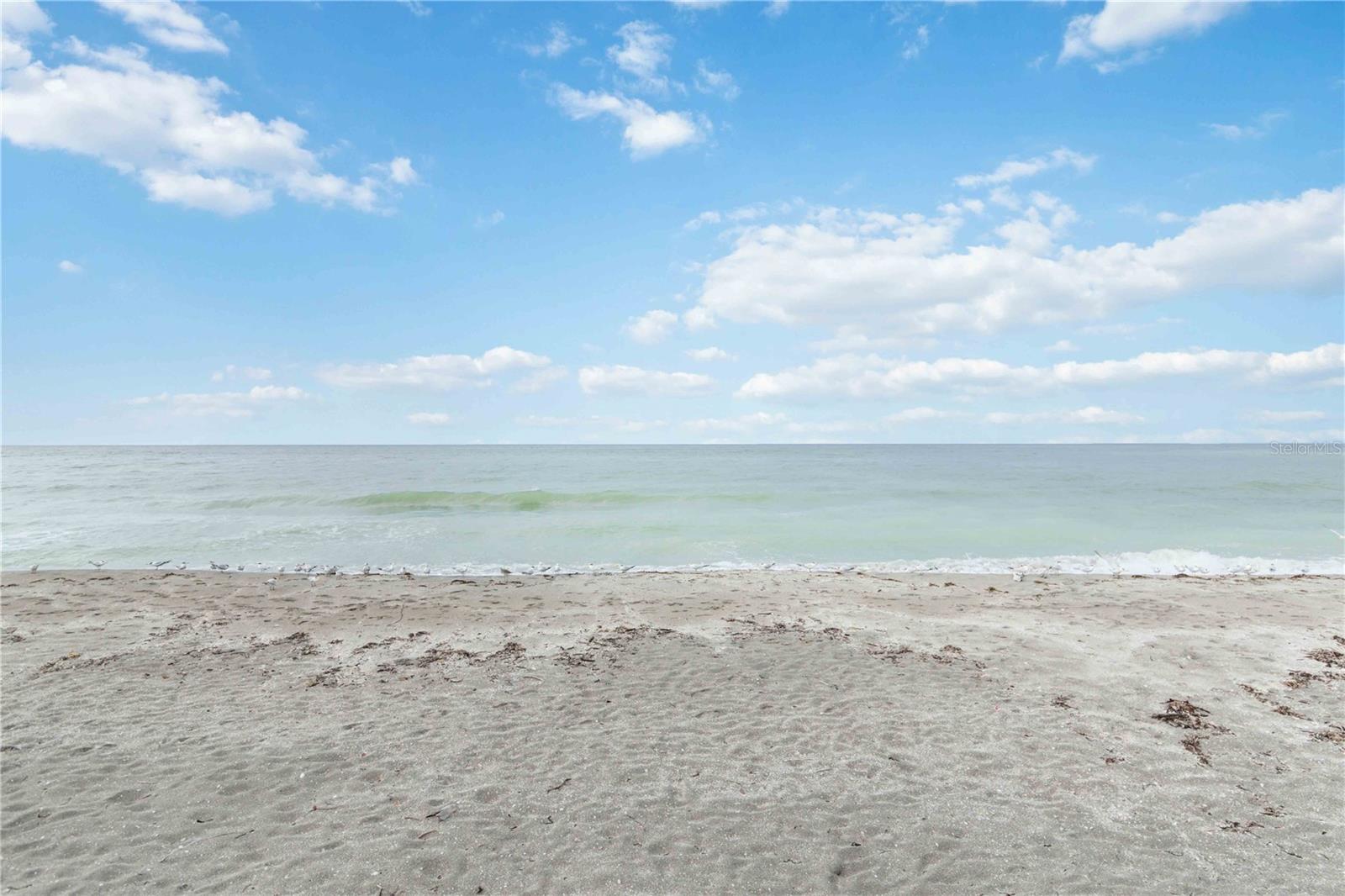 GULF N BAY - Residential