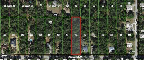 1191 E BISMARK STREET HERNANDO FL 34442