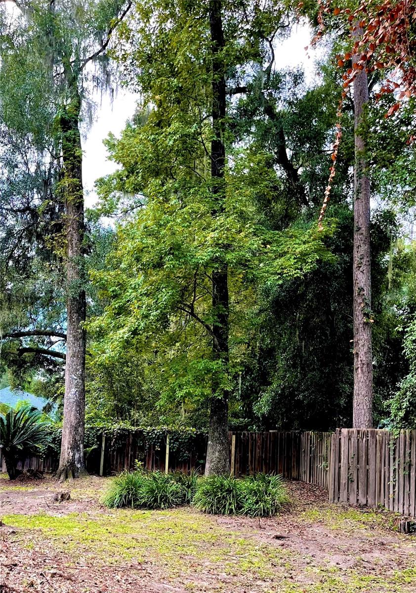 ROCK CREEK - Residential