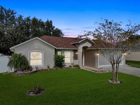 A home in PALM COAST