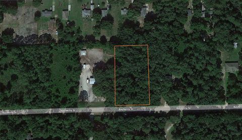 2198 BAYBERRY STREET BUNNELL FL 32110