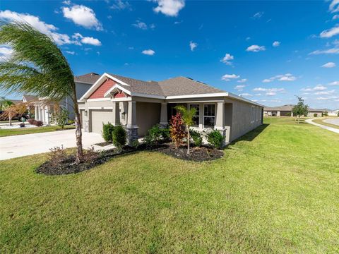 A home in RIVERVIEW