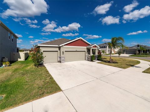 A home in RIVERVIEW