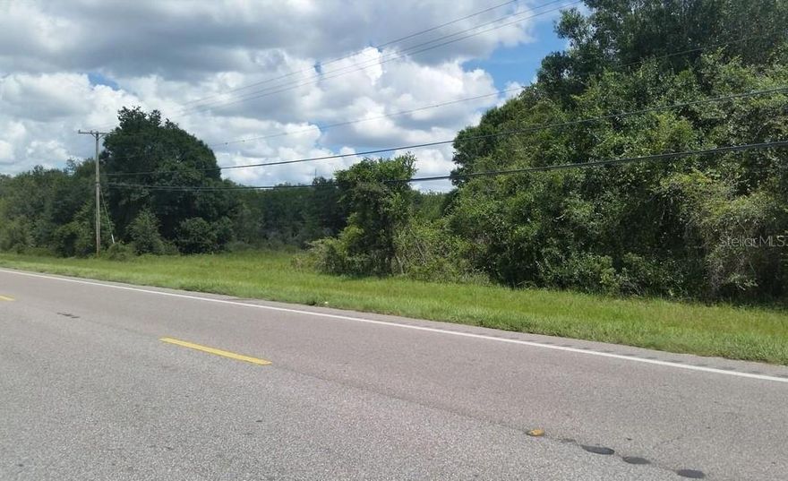 Under contract-accepting backup offers. Take advantage of this prime opportunity for DEVELOPMENT POTENTIAL! Beautiful 18.51 (mol) acre parcel located between Bishop Road and Ruth Morris Road on South Highway 301 in the growing South Hillsborough corridor. Close to major developments and strategically located between Riverview and Bradenton. Great opportunity - Call today for more details.
