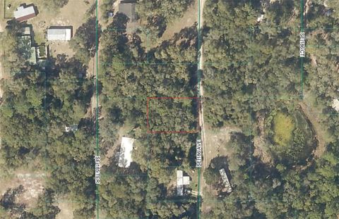 TBD SE 186TH AVENUE OCKLAWAHA FL 32179