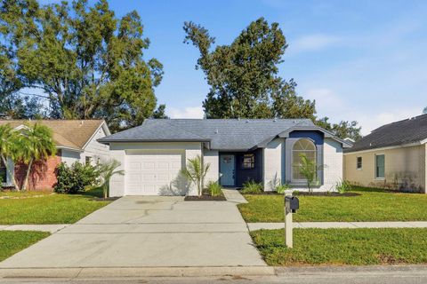 12717 DUNHILL DRIVE TAMPA FL 33624