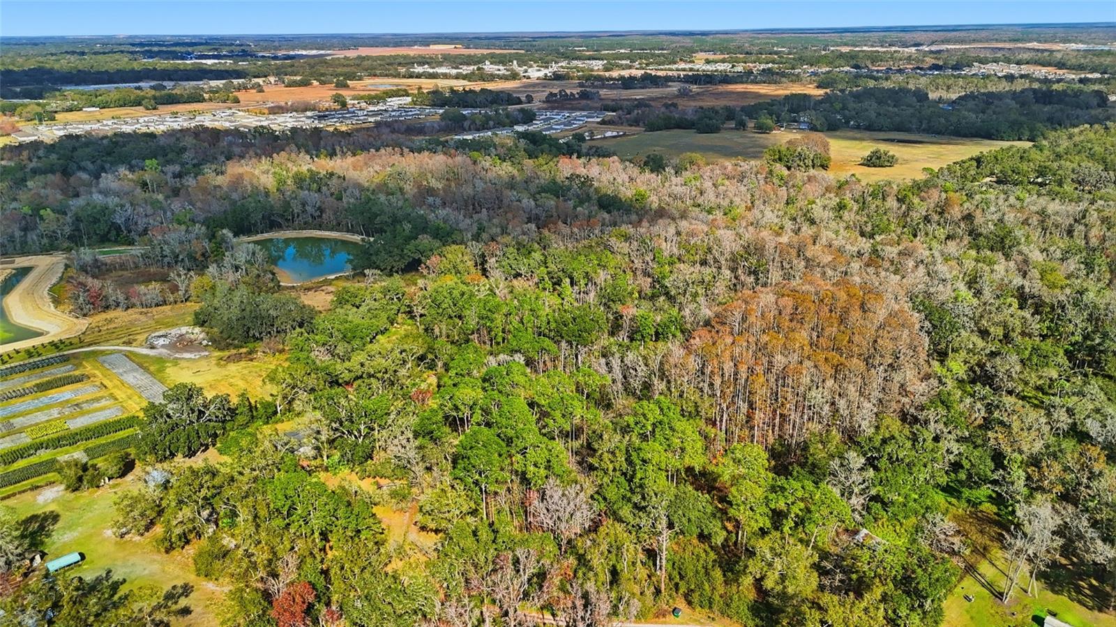 CRYSTAL SPRINGS COLONY FARMS - Land