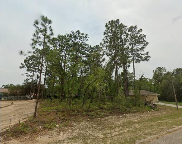 Come take a look at this 125 X 80 Citrus Springs lot. HIGH AND DRY and ready for your dream home. NOT IN A FLOOD ZONE. If location is important to you, here is an opportunity to live on a quiet street in a quaint neighborhood. With this HUGE piece of land offering 10,000 or more square feet, there are unlimited options to build your forever Florida home. Located very close to many parks which include over 42 miles of paved road to enjoy the beautiful outdoors. Plenty of nearby beaches and in close proximity to shopping, local restaurants and major highways. Come visit the property and take a look for yourself! Measurements are approximate and not guaranteed; any information contained herein is the responsibility of the buyer and/or buyer's agent to complete their own due diligence.
