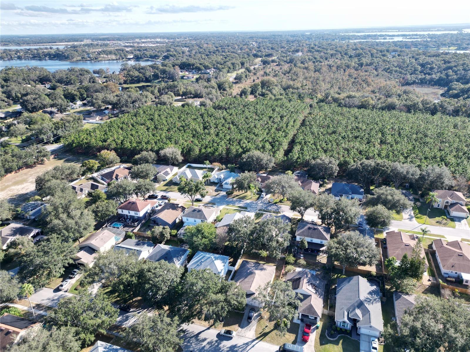 REMINGTON CLUB - Residential