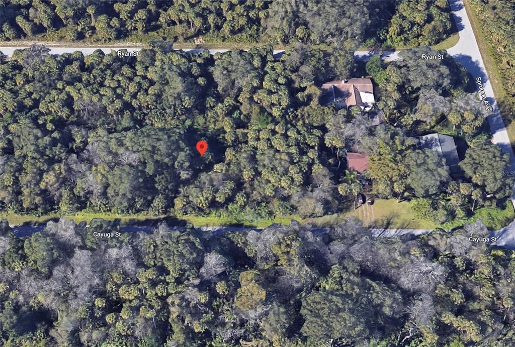 Photo of 187 Cayuga Street, Port Charlotte, FL 33954 (MLS # C7495817)