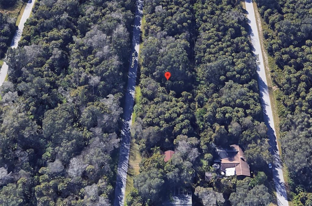 Photo of 187 Cayuga Street, Port Charlotte, FL 33954 (MLS # C7495817)