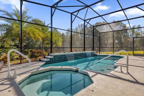 A home in MOUNT DORA