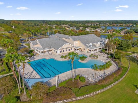 A home in MOUNT DORA