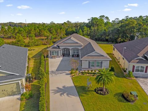 A home in MOUNT DORA