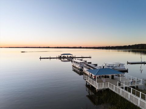 A home in MOUNT DORA