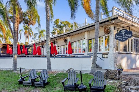 A home in MOUNT DORA