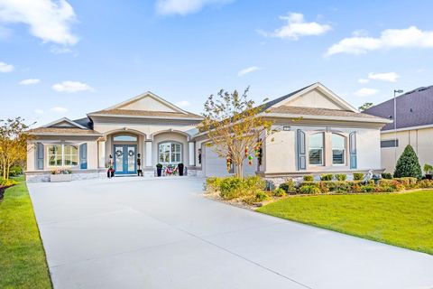 A home in MOUNT DORA