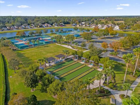 A home in MOUNT DORA