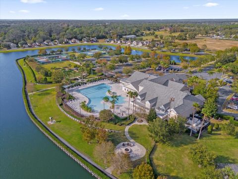 A home in MOUNT DORA