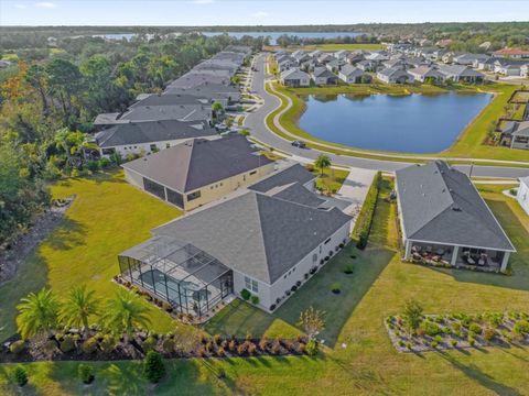 A home in MOUNT DORA