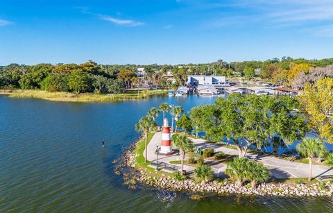 A home in MOUNT DORA