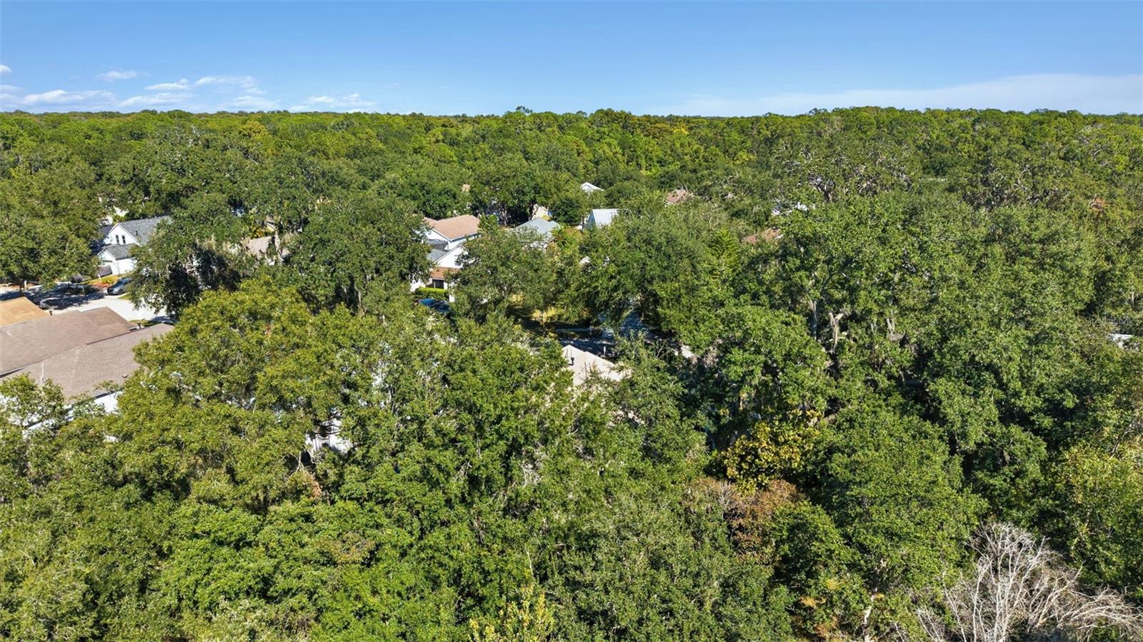 DEER PARK - Residential Lease