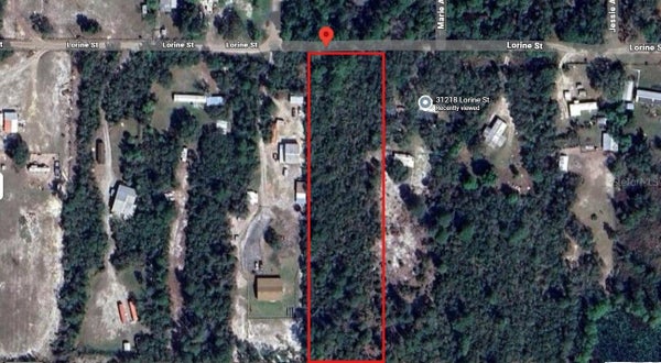 31217 LORINE ST, DE LAND, FL 32720 - Image a6adc7ff104a00dc067589a9488e8dfa/2158742002