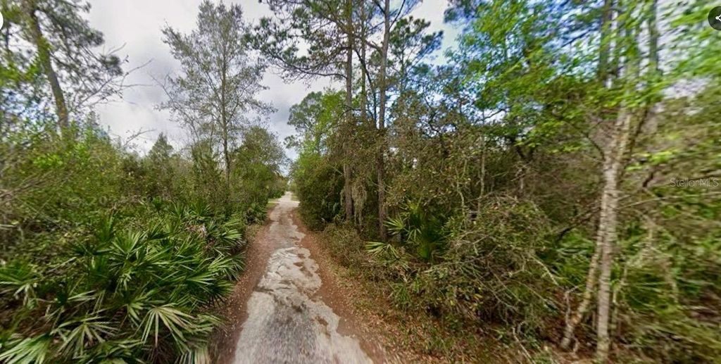 Photo of 31217 Lorine Street, Deland, FL 32720 (MLS # FC315466)