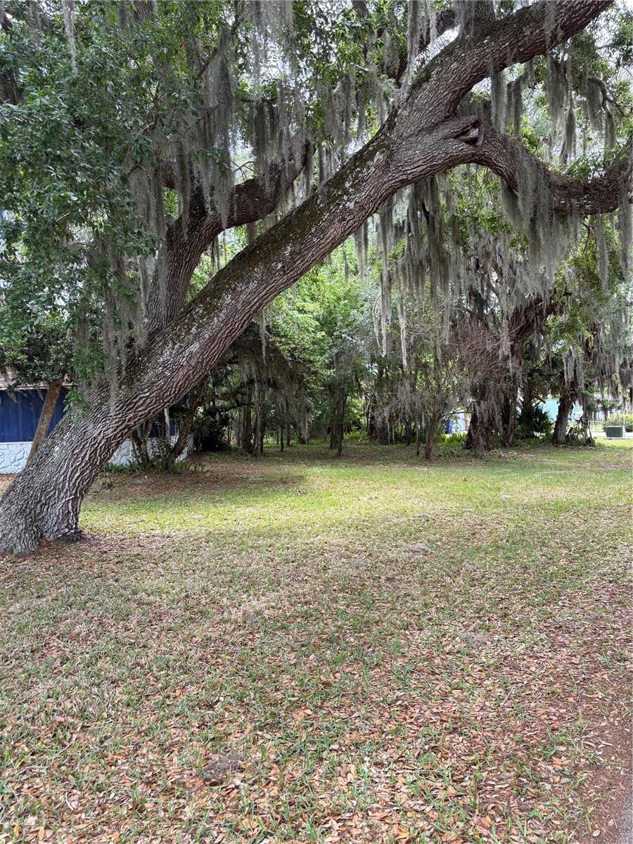 FLORIDA SHORES 01 - Residential