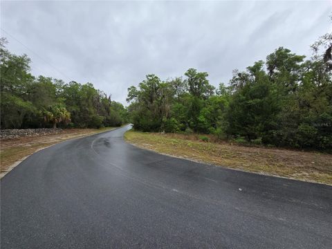 Tiny photo for 6727 N Linen Point, Dunnellon, FL 34433 (MLS # W7885601)