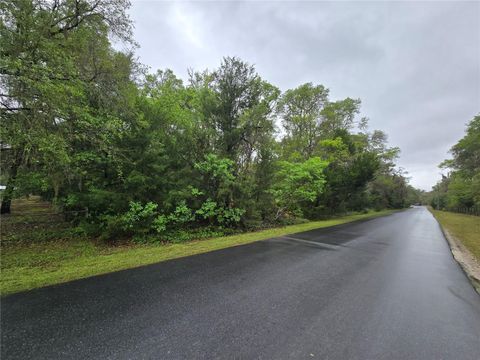 Tiny photo for 6727 N Linen Point, Dunnellon, FL 34433 (MLS # W7885601)