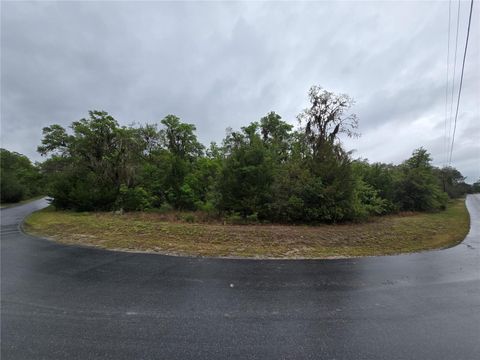Photo of 6727 N Linen Point, Dunnellon, FL 34433 (MLS # W7885601)