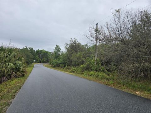 Tiny photo for 6727 N Linen Point, Dunnellon, FL 34433 (MLS # W7885601)