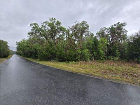 Tiny photo for 6727 N Linen Point, Dunnellon, FL 34433 (MLS # W7885601)