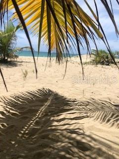 OCEAN POINT - Residential