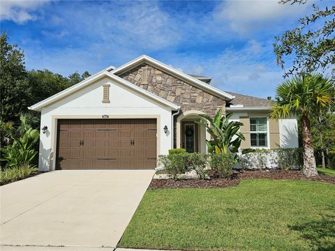Photo of 16320 Hyde Manor Drive, Tampa, FL 33647 (MLS # T3471798)